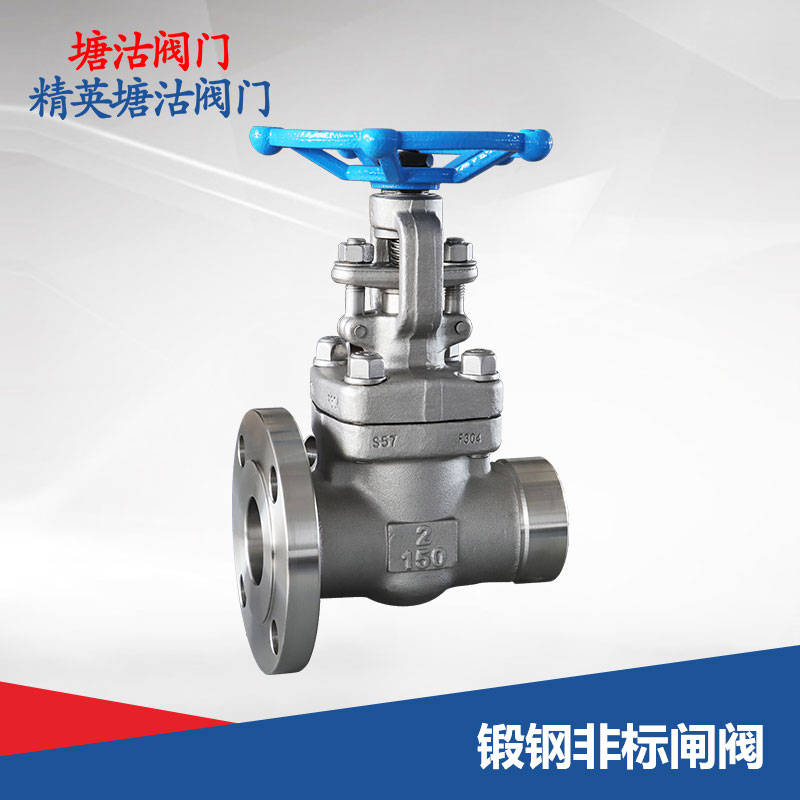 鍛鋼非標(biāo)閘閥